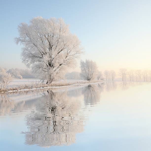 冬季の夕暮れの風景 - reflection water snow river ストックフォトと画像