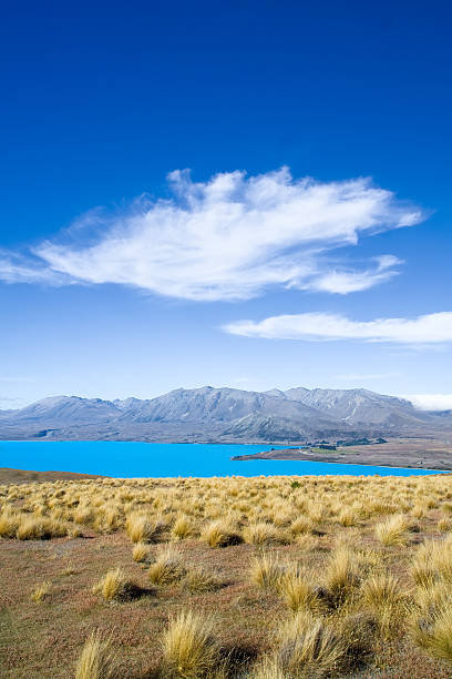 istock Lake Tekapo, New Zealand 137990774