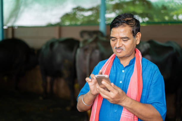 agricultor de leite indiano ocupado usando telefone celular na casa da fazenda - conceito de tecnologia, internet e pequeno agronegócio. - rural watch - fotografias e filmes do acervo