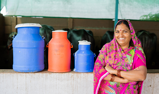 Portrait shot of happy Indian milk dairy woman farmer with milk containers and cattles behind looking at camera - concept of empowerment, village lifestyle and leadership.