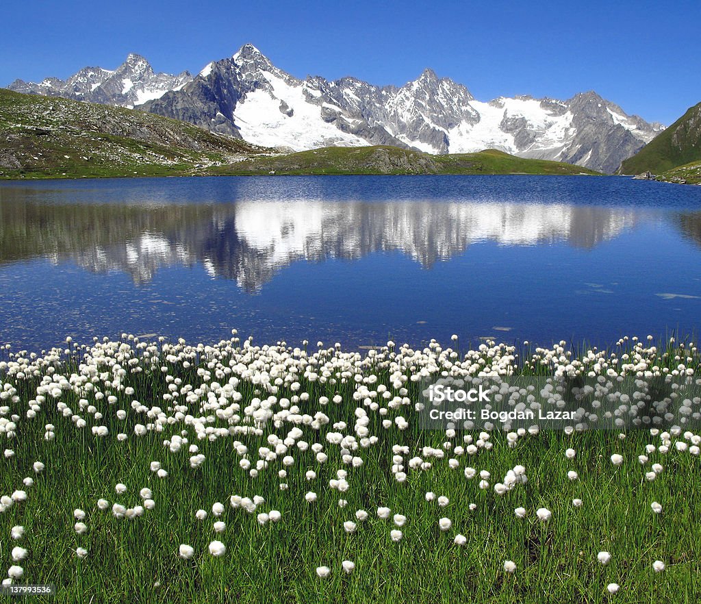 Fenetre jeziora 05, Alpy - Zbiór zdjęć royalty-free (Alpy)