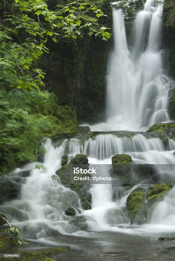 Cascada en el bosque - Foto de stock de Agua descendente libre de derechos