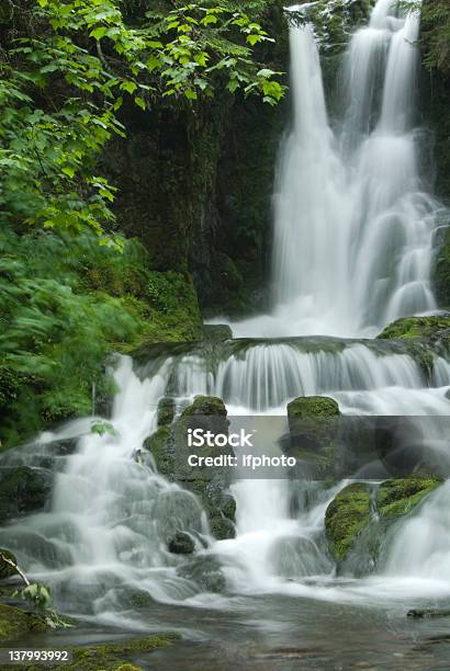 Cascada En El Bosque Foto de stock y más banco de imágenes de Agua descendente - Agua descendente, Aire libre, Alto - Descripción física