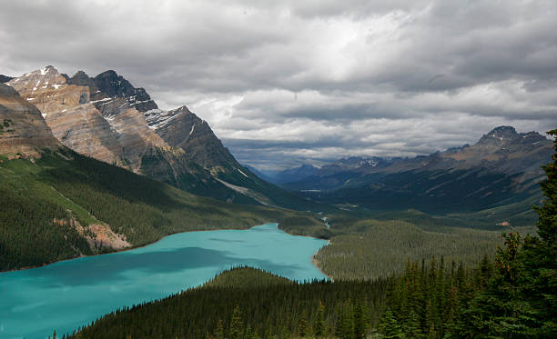 istock Peyto Lake and Mountain 137995639