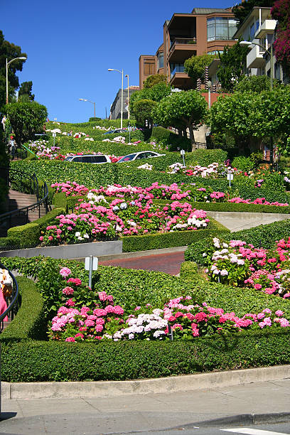 istock Lombard Street, San Francisco 137995652