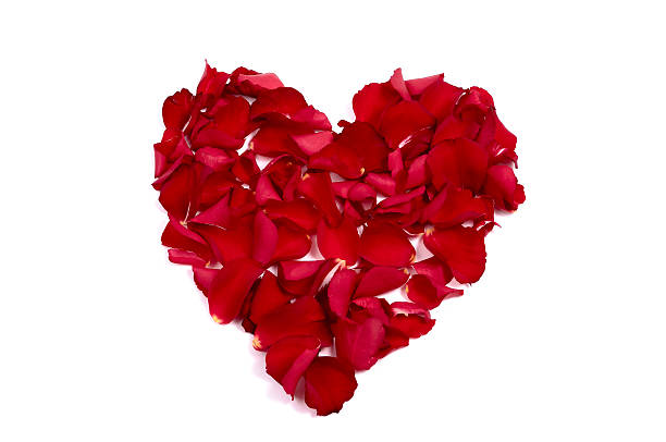 istock rose petals made of heart 137995844