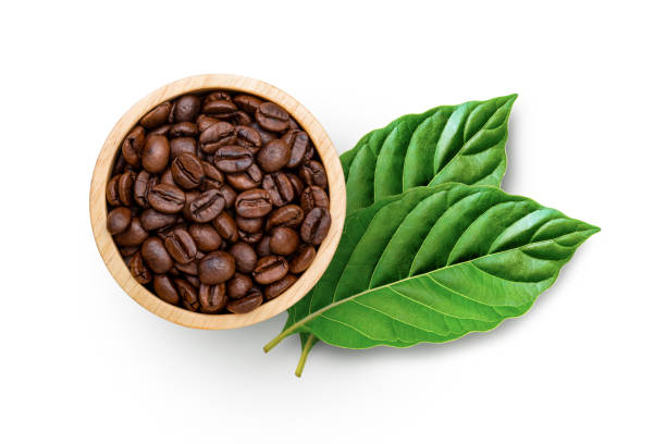 coffee beans in wooden bowl