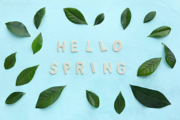 istock Hello spring alphabet letters and green leaf on light blue background. Hello spring concept 1379982739