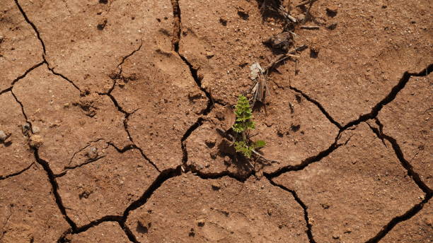 istock Climate change drought land. Global warming issue, cracked mud in the bottom of a river 1379993700