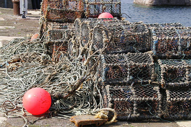 istock Lobster Pots at St Abb's 138000879