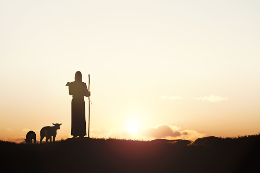 Beautiful Nature At Sunset And The Sheep And The Lamb The Good Shepherd  Jesus Christ Stock Photo - Download Image Now - iStock