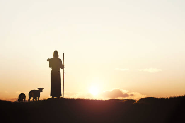 beautiful nature at sunset, and the sheep and the lamb, the good shepherd, jesus christ - carneiro imagens e fotografias de stock