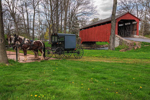 Amish Buggy Parked by Covered Bridge Amish horses and buggy parked near a covered bridge in Lancaster County, Pennsylvania. amish photos stock pictures, royalty-free photos & images