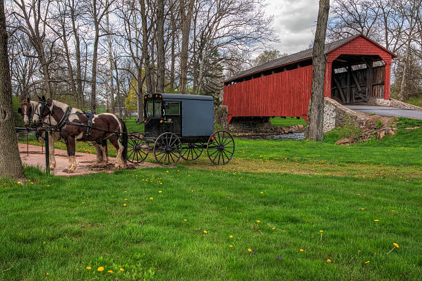 Amish Buggy Parked by Covered Bridge Amish horses and buggy parked near a covered bridge in Lancaster County, Pennsylvania. Amish stock pictures, royalty-free photos & images