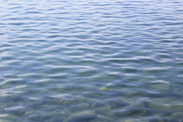 Beautiful transparent lake. Close-up. Background. Texture.