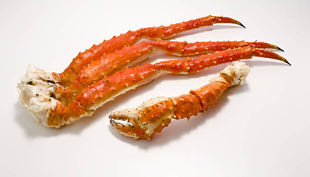 patas de cangrejo con cama king - alaskan king crab fotografías e imágenes de stock