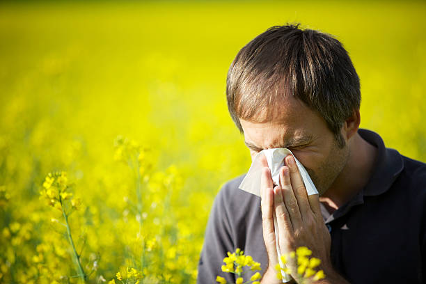 istock Man blowing his nose in canola field 138009198