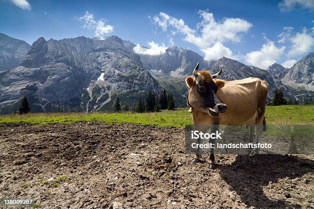 Mountain Kuh In Den Österreichischen Alpen Stockfoto und mehr Bilder von Almosen - Almosen, Alpen, Anhöhe