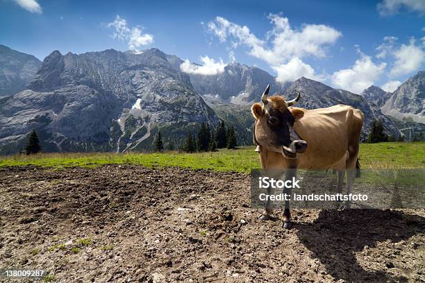 Foto de Montanha Vaca Nos Alpes Austríacos e mais fotos de stock de Agricultura - Agricultura, Alemanha, Alimentar