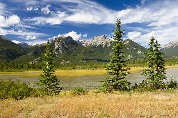 istock Beautiful Canadian Landscape 138011542