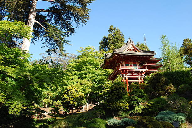 istock Japanese Garden in San-Francisco 138011971