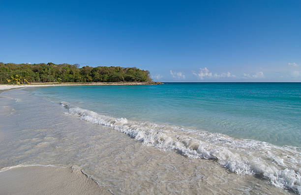 rosso spiaggia di vieques - isabella island foto e immagini stock