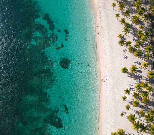 Caravel beach in Sainte-Anne, Guadeloupe View of the sky from the caravel beach in Sainte-Anne Antilles stock pictures, royalty-free photos & images