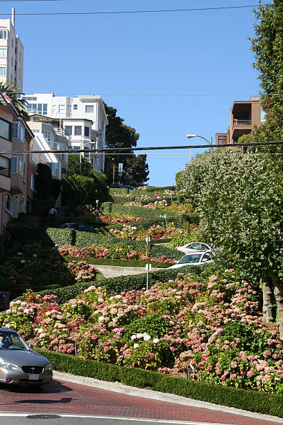 lombard street san franciso - carole lombard photos et images de collection