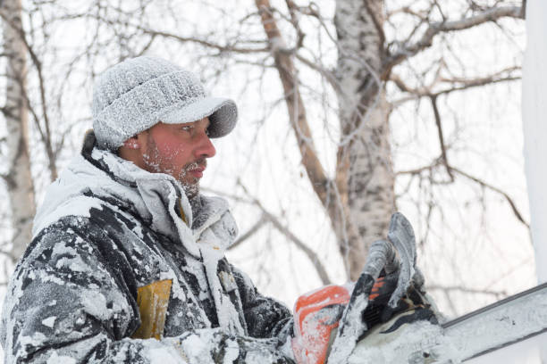 istock Facial portrait of a sculptor with a chainsaw at work 1380142690