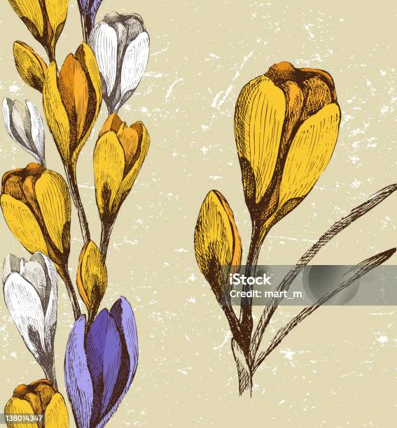 Vetores de Crocus Flores E Sem Costura Floral Fronteira e mais imagens de Amarelo - Amarelo, Antigo, Beleza natural - Natureza