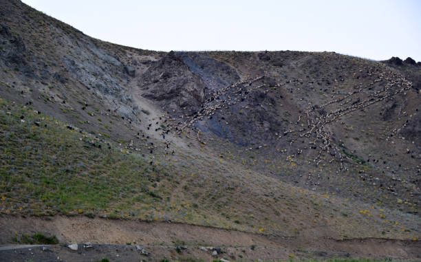 istock Hakkari Mergabutan Plateau 1380163199