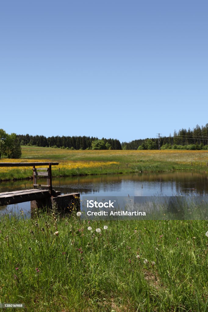 pond in summer Allgau Stock Photo