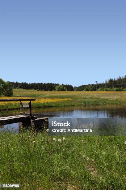 Pond In Summer Stock Photo - Download Image Now - Allgau, Blue, Jetty