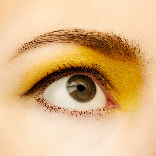 istock eye makeup - yellow eyeshadow eyeliner looking up macro 138018011