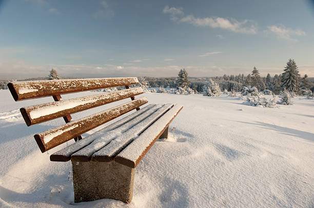 Sunrise in a yard after the first winter snowfall.