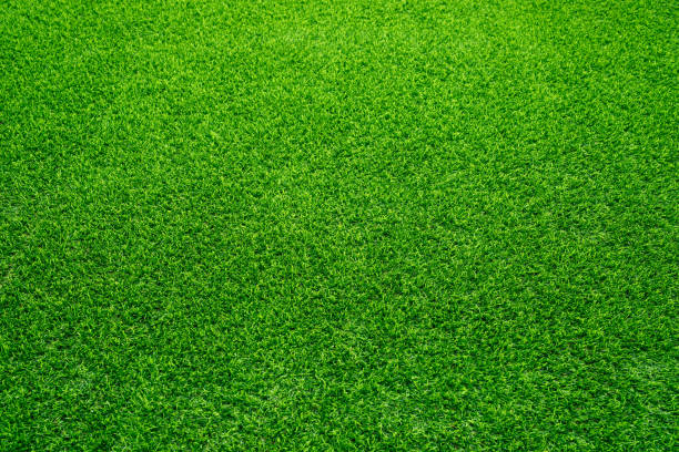 istock lawn at home increase green space Increase oxygen, reduce glare