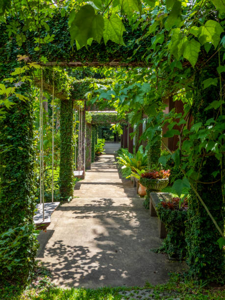 istock Beautiful tunnel made of green trees 1380210111
