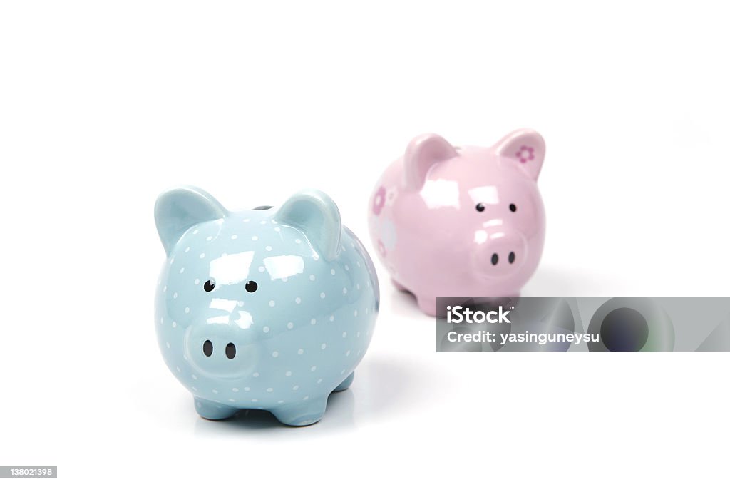 Piggy Bank Series Blue and Pink Piggy Bank Piggy Bank Stock Photo