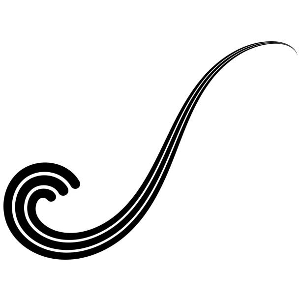 ilustrações de stock, clip art, desenhos animados e ícones de curved three stripe calligraphy curl, sea wave calligraphy elegantly curved ribbon logo - underline scroll shape decoration single line
