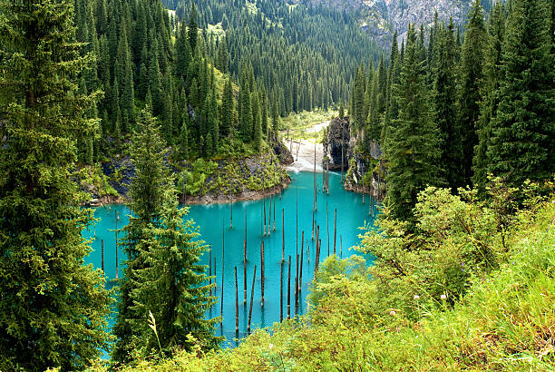 lake kaindy w tien-shān, kazachstan - alatau zdjęcia i obrazy z banku zdjęć