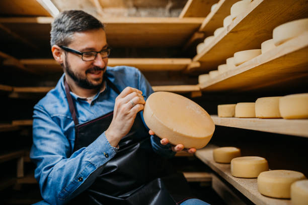 le fromager marque le fromage - cheese making photos et images de collection