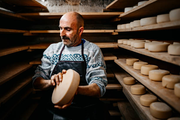 istock Senior Male Dairy Farm Worker Inspecting Goat Cheese in Cellar 1380229519