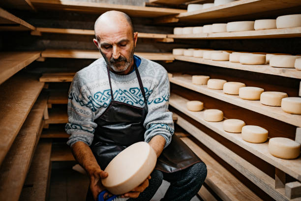 istock Senior Male Dairy Farm Worker Inspecting Goat Cheese in Cellar 1380231073