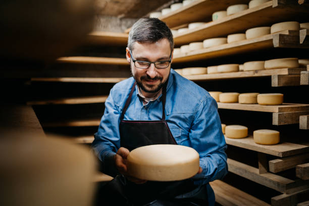 Handsome cheesemaker is checking cheeses in his workshop storage stock photo