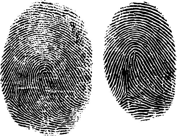 Fingerprint Mystery Vector fingerprints maintaining natural faultlines and inconsistencies. fingerprint stock illustrations
