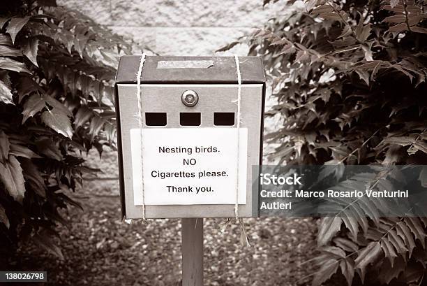 Nesting Vögel In Zigarette Bin Stockfoto und mehr Bilder von Bizarr - Bizarr, Nest, Vogel