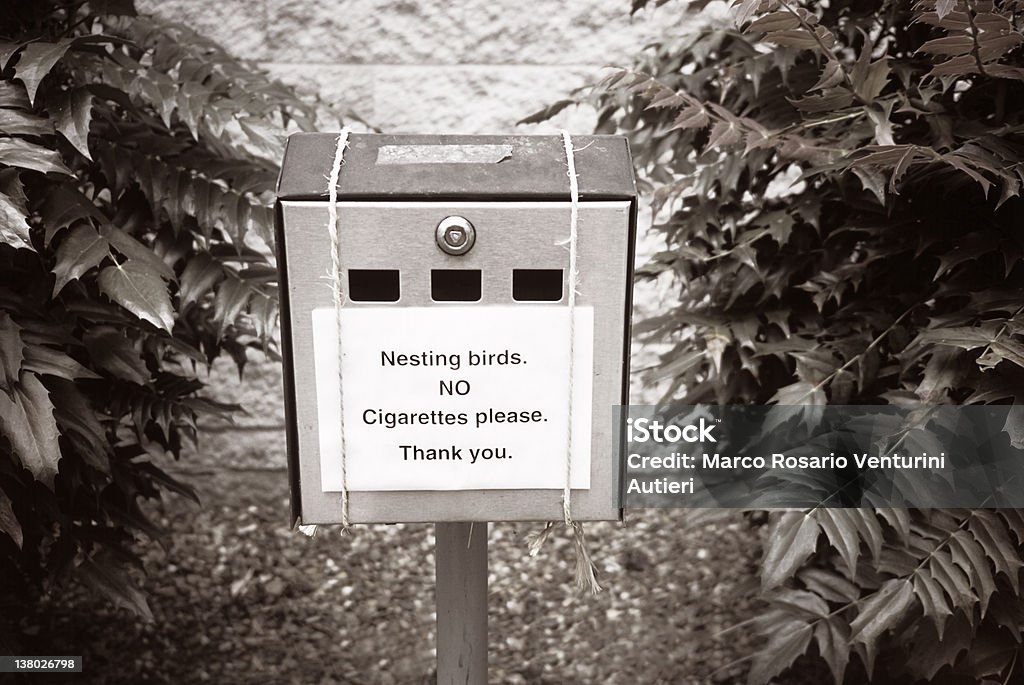 A nidificação de aves em cigarros bin - Foto de stock de Esquisito royalty-free