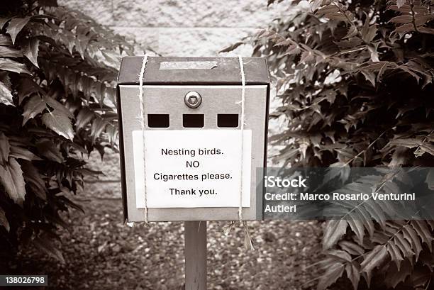 Foto de A Nidificação De Aves Em Cigarros Bin e mais fotos de stock de Esquisito - Esquisito, Ninho de Animal, Pássaro