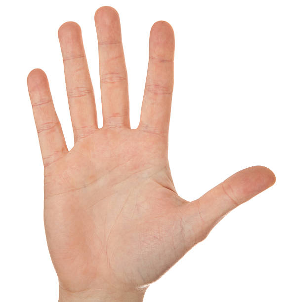 istock Palm of the hand 138028692