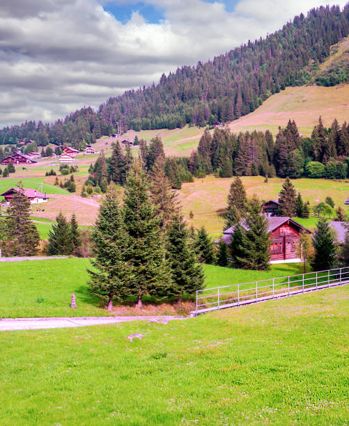casas de madeira nos alpes suíços - hill grindelwald village landscape - fotografias e filmes do acervo
